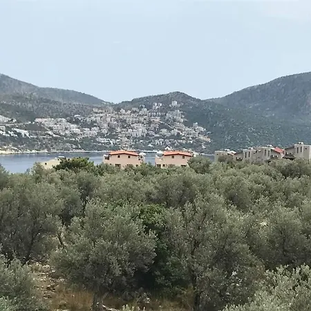 Villa Orya *